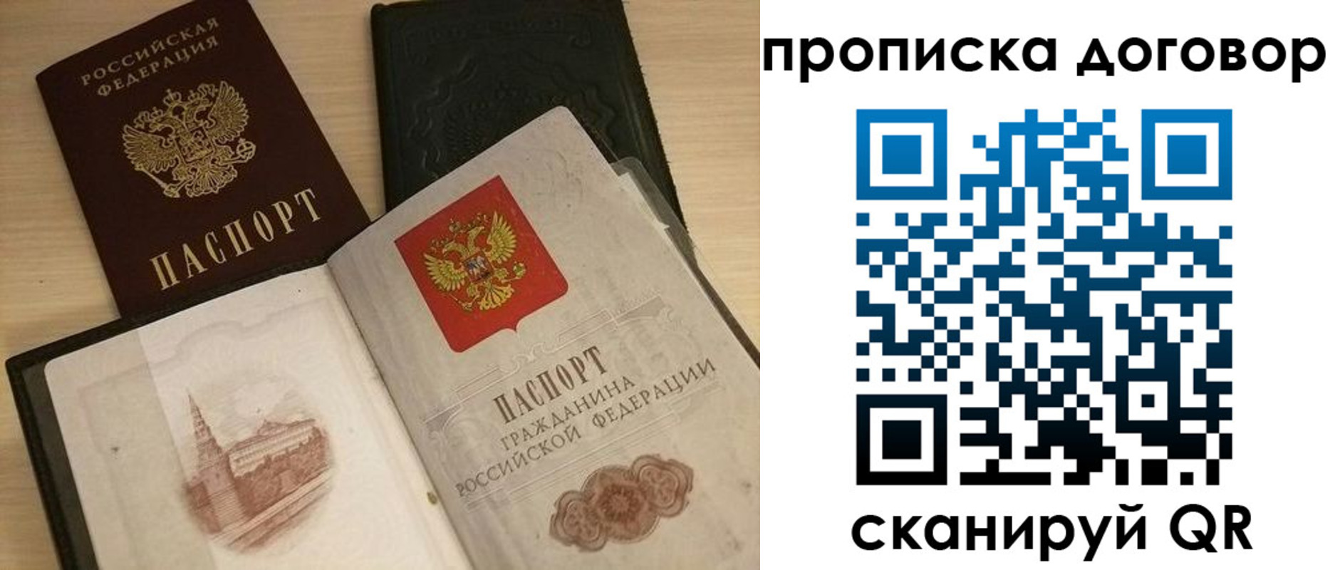 прописка поиск в Димитровграде
